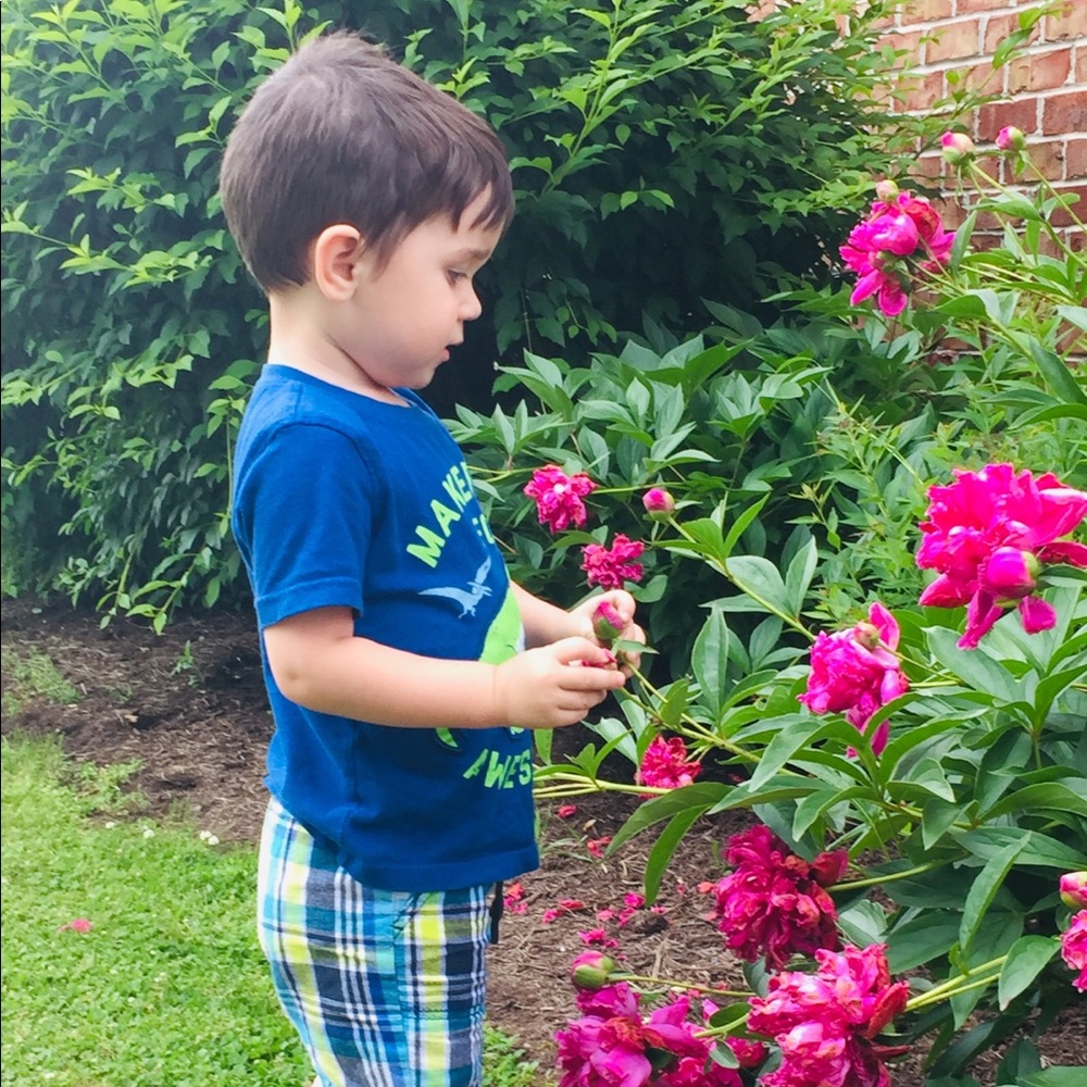 Meet your Posher, Ashlee